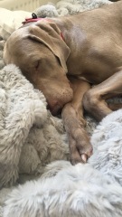 Mounjaro August starters thread 9 (OMG)