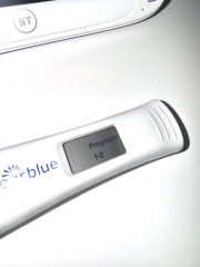 December TTC Support Group