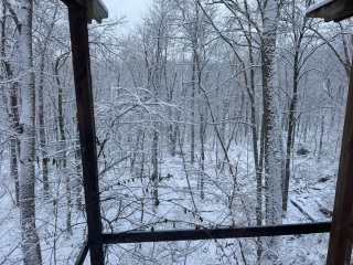 Come and tell us your dull and unexciting news 32: Calmly through the day