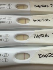 IVF/ICSI/FET December 2024