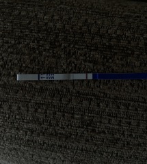 January TTC Support Group 💚