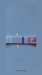 January TTC Support Group 💚