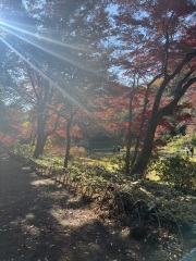 Japan planning thread