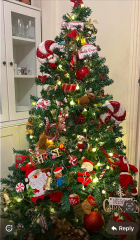 Show us your Christmas trees