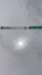 2DPO