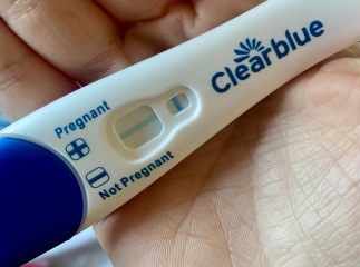 Positive test or evap line?