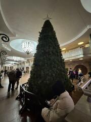 Ukraine Invasion: Part 52