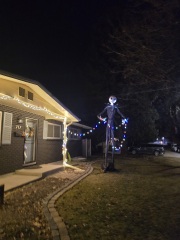 Fledglings Feeling Festive  - come Fly with us