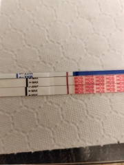 Just put me out of my misery!