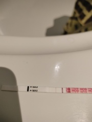 December TTC Support Group