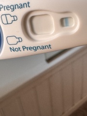 December TTC Support Group