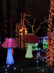 Come and tell us your dull and unexciting news 32: Calmly through the day