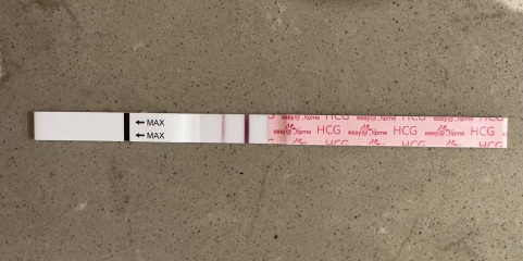 August 2025 Due Dates Club