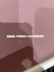 December TTC Support Group