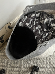 What perfectly ordinary places have you found your cat?