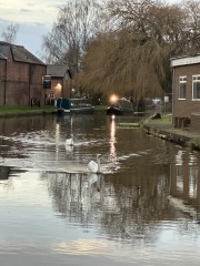 The Nigel Slater Christmas Chronicles Readalong 2024 Part 3