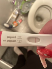 Potentially pregnant or line eyes