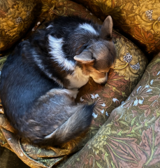 Bluestocking: the one where Boiled gets to the bar first!