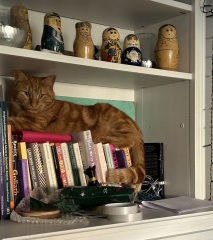 What perfectly ordinary places have you found your cat?