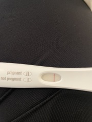 Potentially pregnant or line eyes