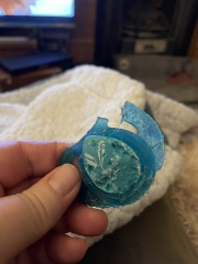 Adolescent Dog Survival Thread - Bark the Herald, furry angels sing!