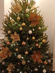 Show us your Christmas trees