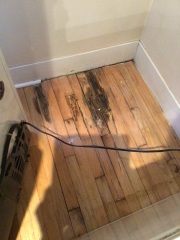 Does this look like mold or wood staining?