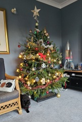 Tinsel, Glitter and Baubles - the Excellent Cats prepare to knock Everything off your Christmas Tree