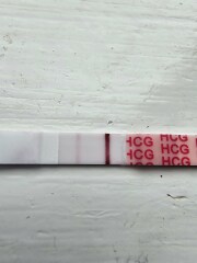 When did everyone get their first clear positive test?