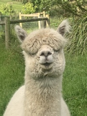 The Great Cancer Recovery part 3