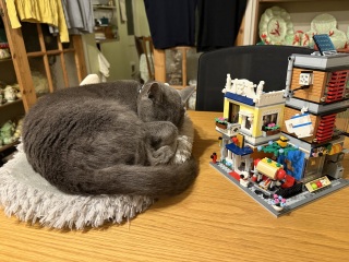 Tinsel, Glitter and Baubles - the Excellent Cats prepare to knock Everything off your Christmas Tree