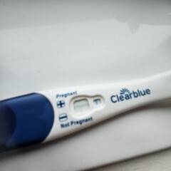 Clear blue test. Evap line or positive