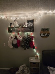 Fledglings Feeling Festive  - come Fly with us