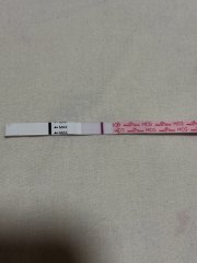 2DPO