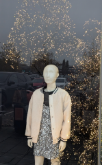 The Christmas trees in next window.