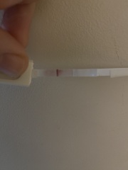 Is this a second line or am I seeing things