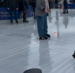 I did not expect ice skating in London to be so expensive