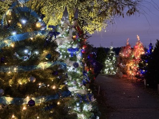 Come and tell us your dull and unexciting news 32: Calmly through the day