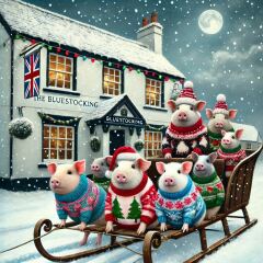 The Bluestocking - the one with the Christmas stocking