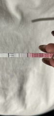 What do these mean??