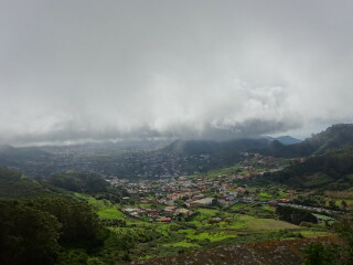 To think the canary isles are tacky?