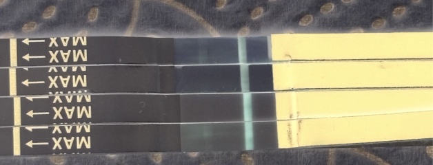 Positive? Came up within a minute