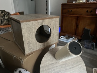 Tinsel, Glitter and Baubles - the Excellent Cats prepare to knock Everything off your Christmas Tree