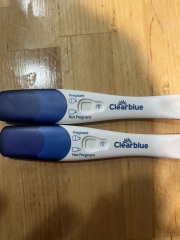 Positive or not? Could it be an Evap Line?