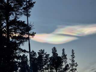 The Nigel Slater Christmas Chronicles Readalong 2024 Part 3