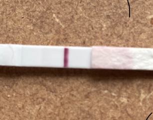 Pregnancy test