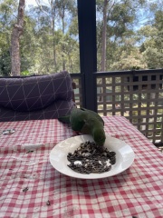 Come and tell us your dull and unexciting news 32: Calmly through the day