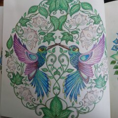 Come and tell us your dull and unexciting news 32: Calmly through the day