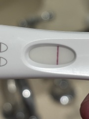 December TTC Support Group (pt2)