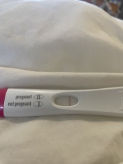 Potentially pregnant or line eyes